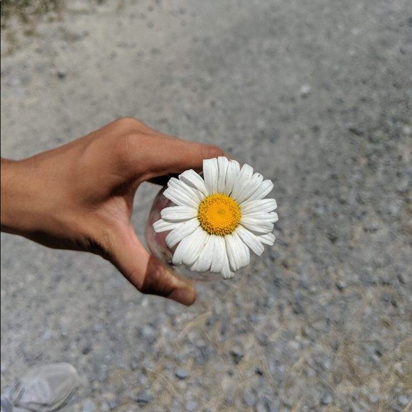 Meet your Posher, Ritu - Picture 1 of 1